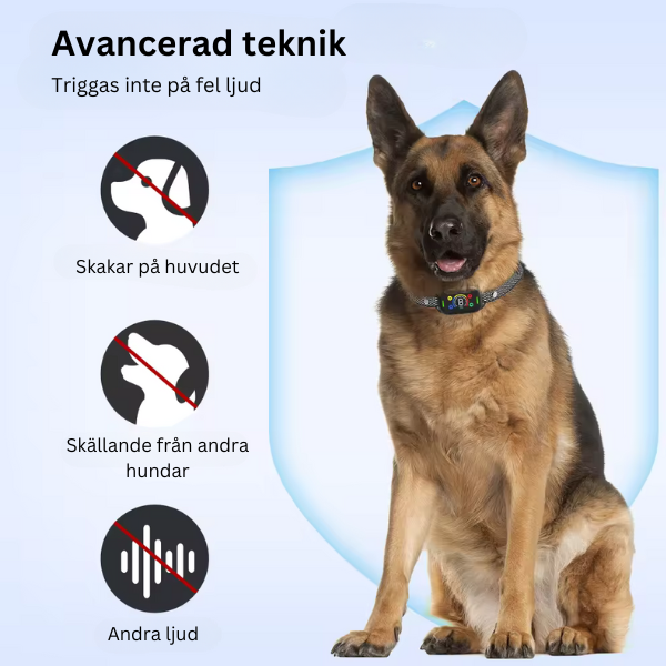 Antiskällhalsband (uppgraderad) - minska onödigt skällande
