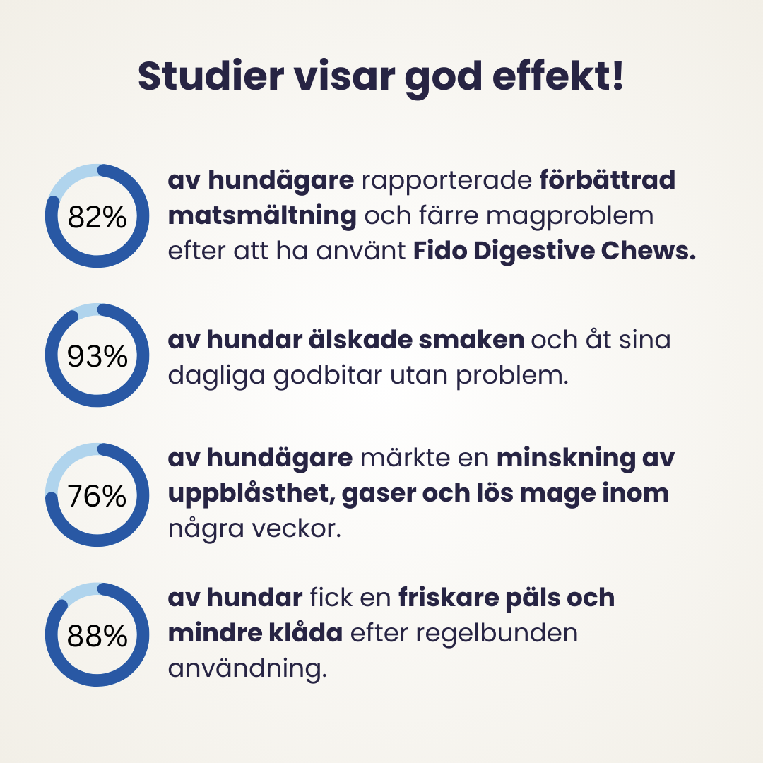 Digestive Chews - Bidrar till god tarmhälsa hos hundar (provpaket)
