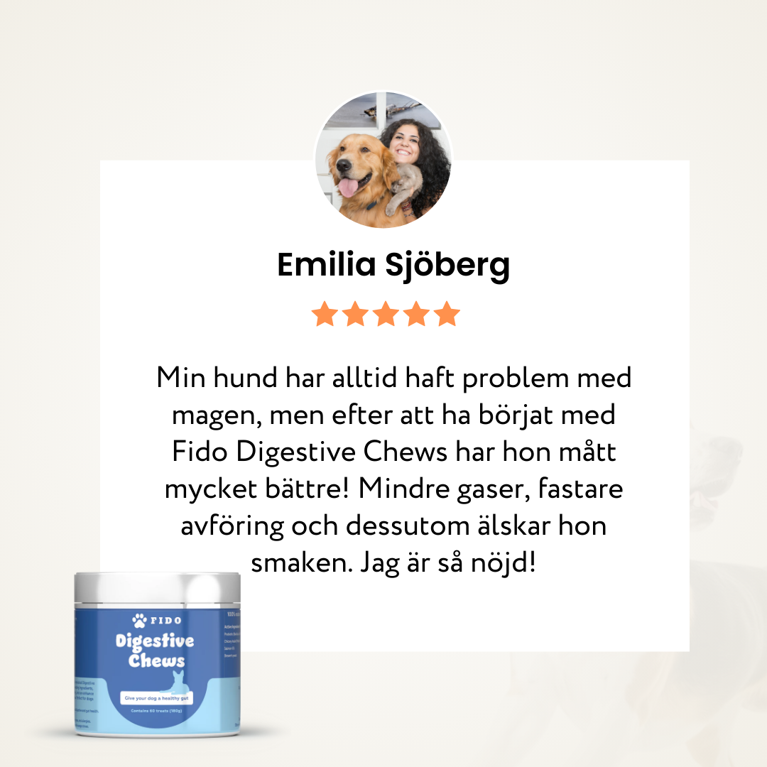 Digestive Chews - Bidrar till god tarmhälsa hos hundar (provpaket)