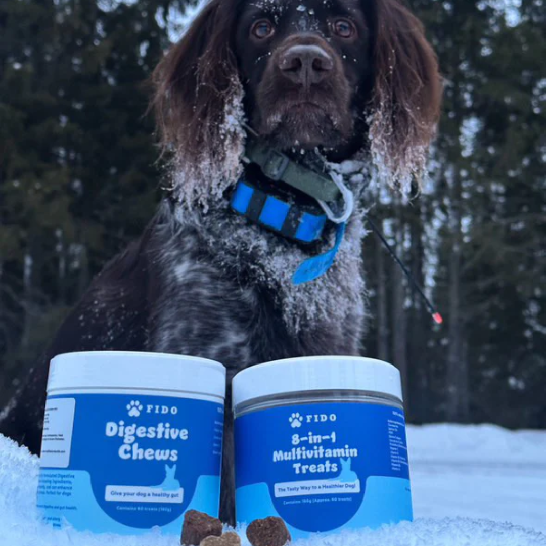 Digestive Chews - Bidrar till god tarmhälsa hos hundar (provpaket)