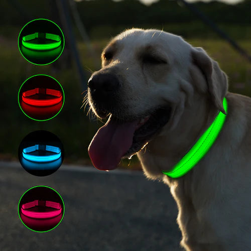 LED-halsband