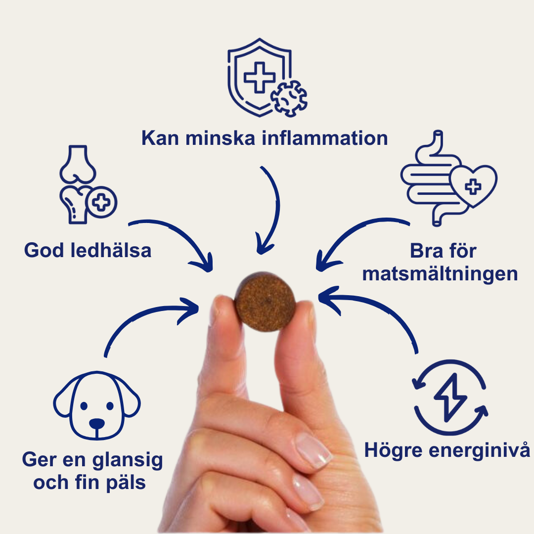 8-in-1 Multivitamin Treats för hundar